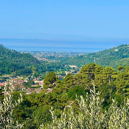 Bed and Breakfast Casa Del Sole Camaiore Exterior foto
