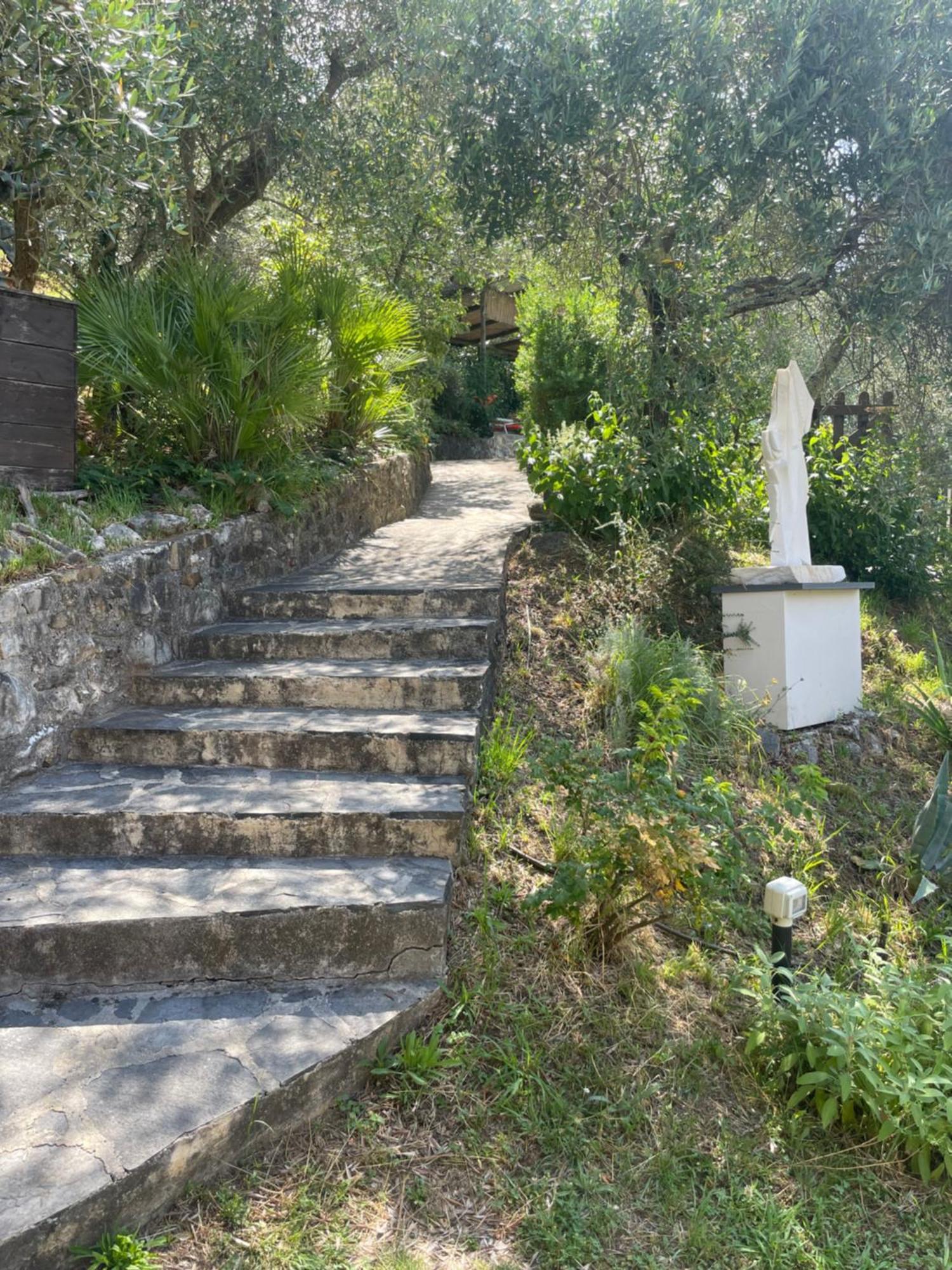 Bed and Breakfast Casa Del Sole Camaiore Exterior foto