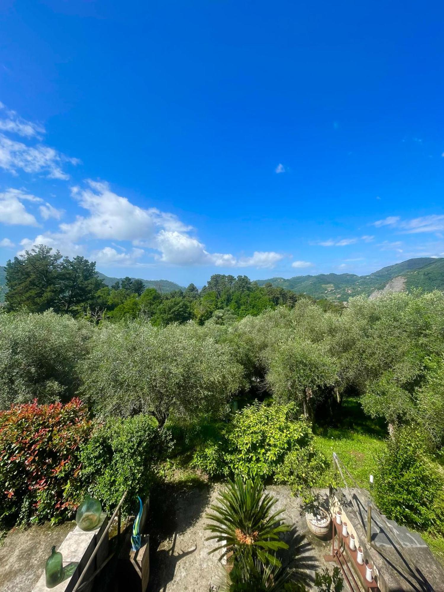 Bed and Breakfast Casa Del Sole Camaiore Exterior foto